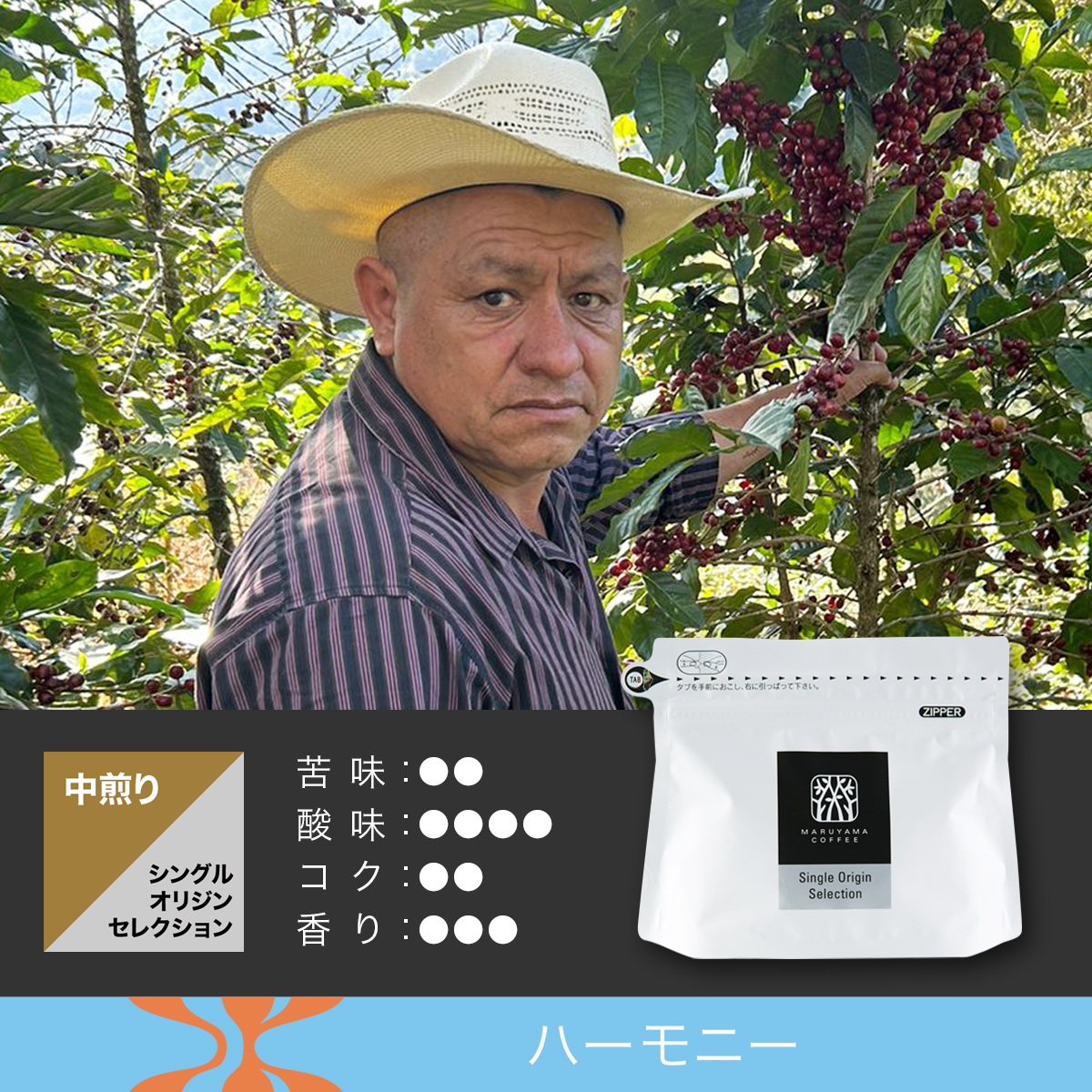 ラ・カニャーダ 中煎り