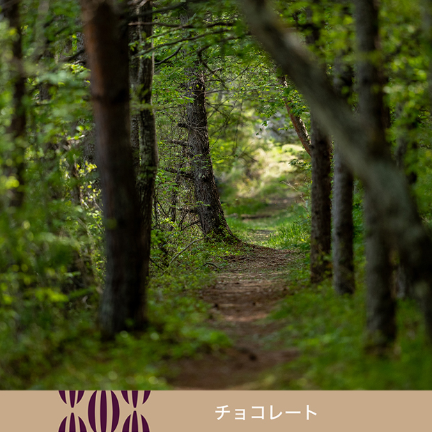 ヴェルデ