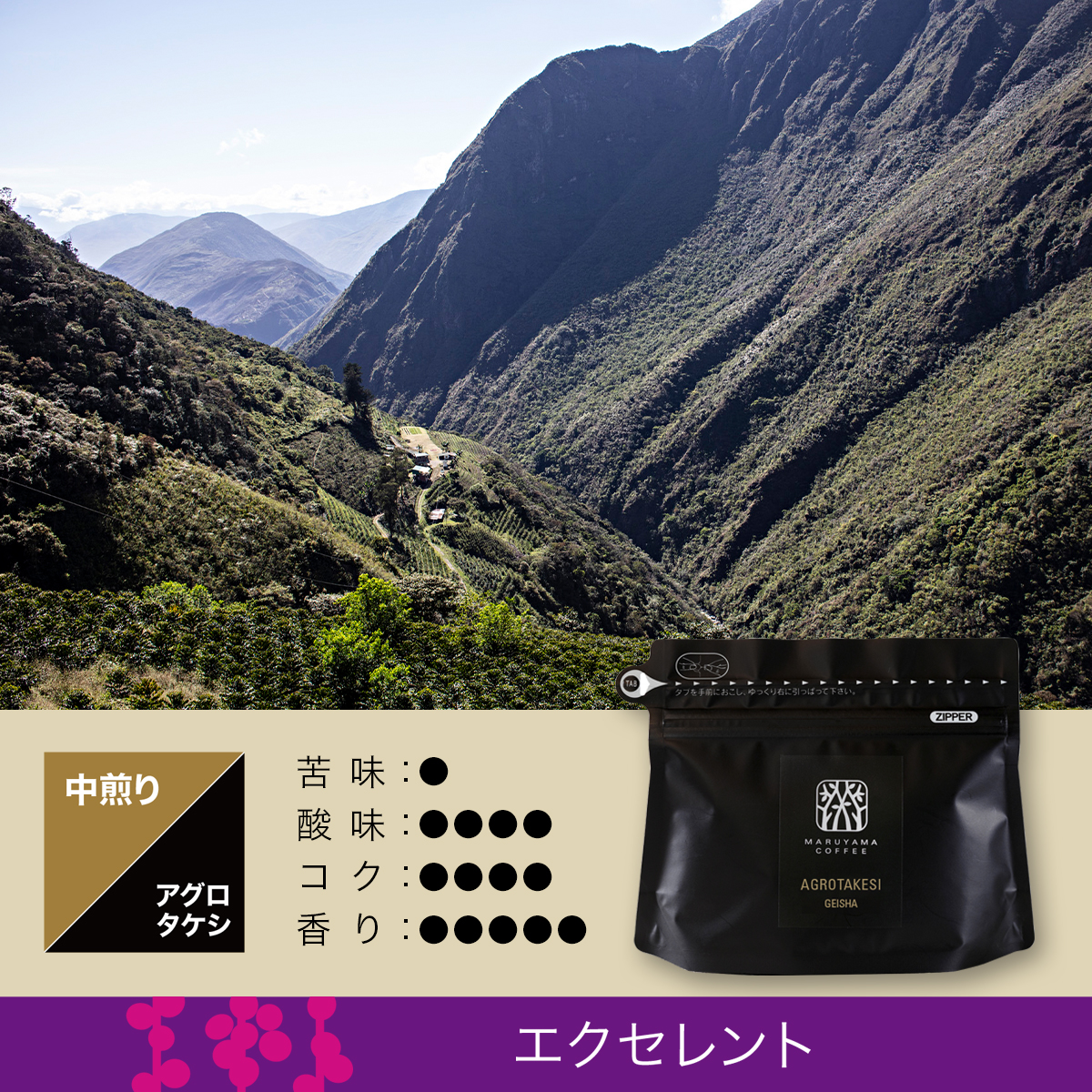 アグロタケシ ゲイシャ 中煎り
