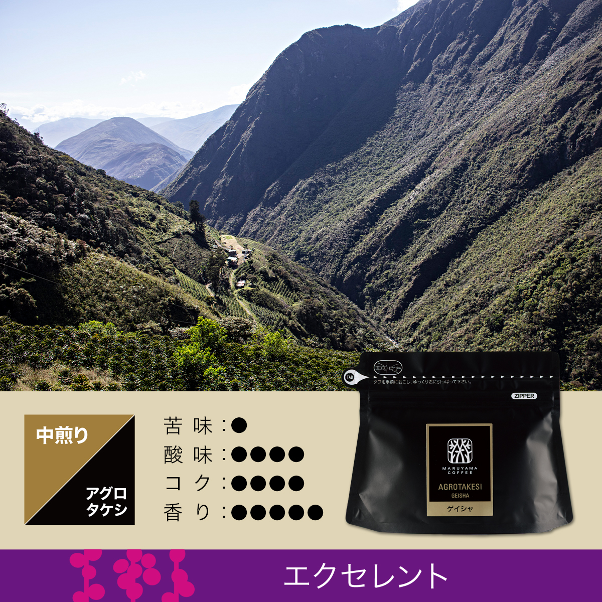 アグロタケシ ゲイシャ 80g【オンラインストア限定】