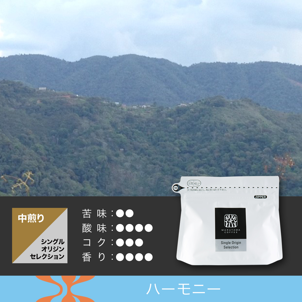 コパカバーナ 中煎り
