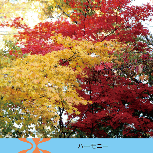 シンフォニア