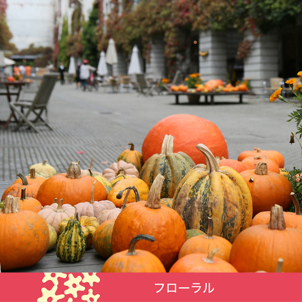 秋のスペシャルブレンド
