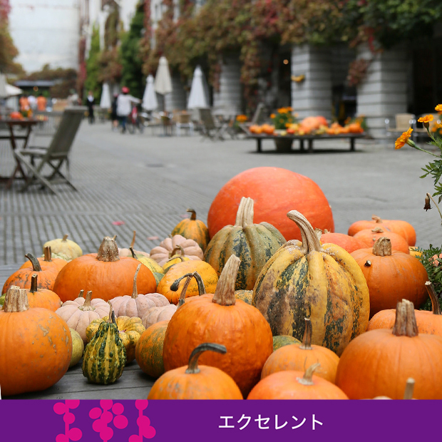 秋のスペシャルブレンド