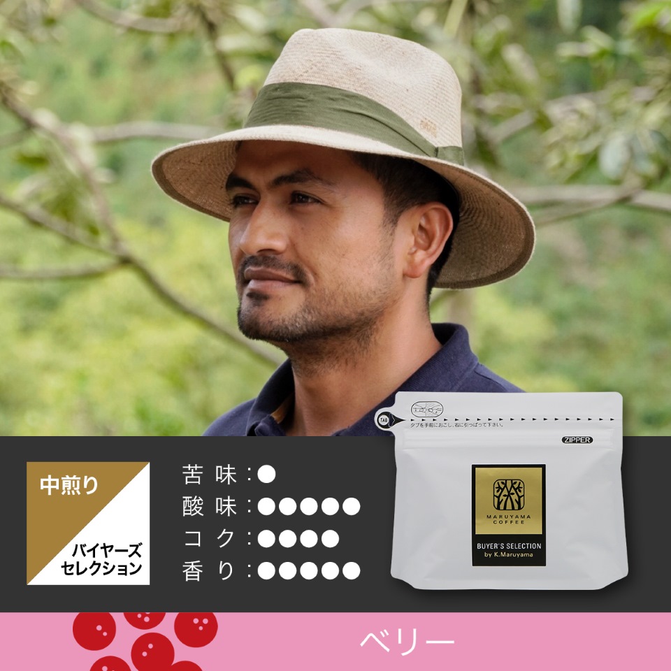 コロンビア オスカー・エルナンデス ピンクブルボン ナチュラル 中煎り