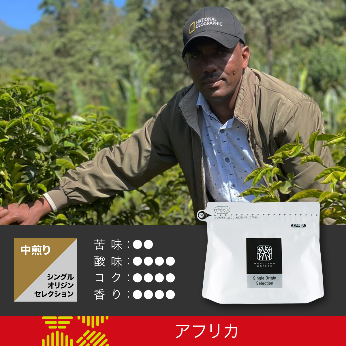 エチオピア ニグセ・ゲメダ ナチュラル 中煎り