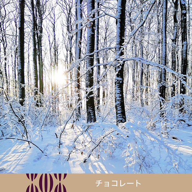 ダイアモンド・ダスト