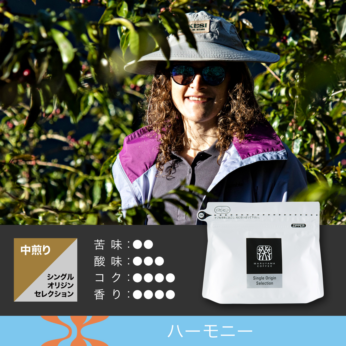 アグロタケシ イエローカトゥアイ ウォッシュト 中煎り